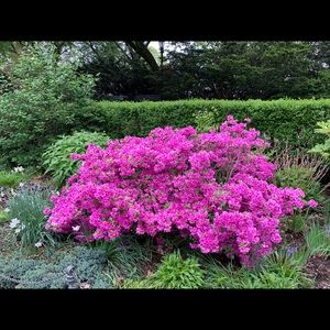 Meet your Posher, Gretchen